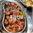육갑선생 이미지