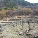 뉴전원공인중개사사무소 이미지