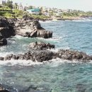 애월 해안절경에서 핑크뮬리 새별카페... 이미지