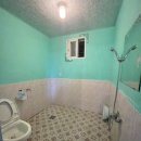 남이섬리버필드 이미지