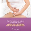 비비블랑 이미지