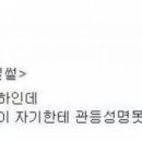 관등 Daum카페