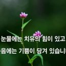남부저울 이미지