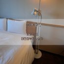 토요코인 대전정부청사앞 | 무료 조식 제공, 가성비 좋은 대전 호텔. 토요코인 대전정부청사앞점 디럭스싱글 619호.