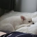 몽꾸꾸 | 🤪4월 넷째주(220425~220501)🧟‍♀️