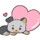 드림캐쳐스튜디오 이미지
