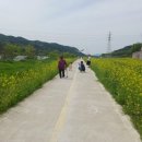 샛터공원 화장실 이미지