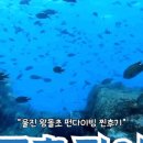 H2O다이브리조트 네이버블로그