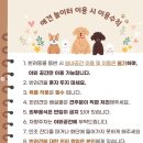 더플로우 이미지
