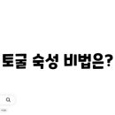 지혜토굴새우젓 이미지