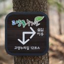 송강길 이미지