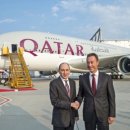 도하메드 이미지