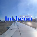 786 | 가고시마 공항 대한항공 KE786 기내식 메뉴 후기 가고시마에서 인천