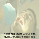수목메디칼빌딩 | 건강한 치아 관리와 사랑니 걱정,세교동사랑니발치병원에서 해결