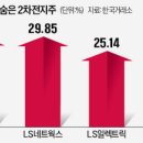 엘엔에프 네트웍스 이미지