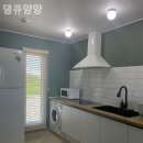 댕큐양양 네이버블로그