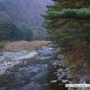 구룡령황토펜션 이미지