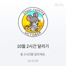 파트라슈 이미지