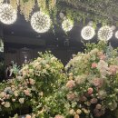 효자컨벤션웨딩홀 이미지