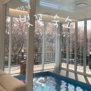 스테이 마당 | 경주 벚꽃 독채 숙소 ‘스테이마당’ 아기랑 봄 가족여행 후기