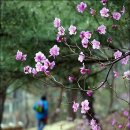 응봉공원4 이미지