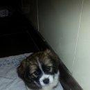 솔비농장 이미지