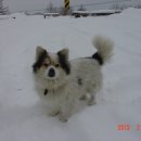 삼수령목장 이미지