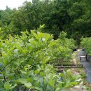 해용농장 이미지