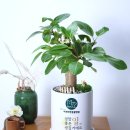 24시 서초바른동물병원 이미지