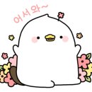 컬러링마인드 이미지