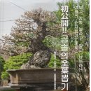 뽑기의 세계 이미지