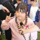 휘바핀란드위드플레이정글 이미지