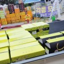 주니청과 이미지