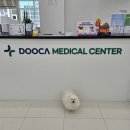 두카메디컬센터 이미지