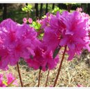 내송2길 이미지