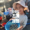 오이도 어촌계(오이도 어촌체험휴양마을) | 서울근교 오이도 갯벌 조개체험