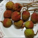 리치 이미지