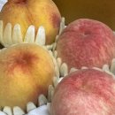 솔빛농원