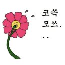 거송식당 이미지