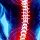 엄지척한의원 이미지