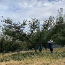 지리산 농가민박 이미지