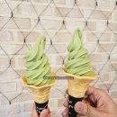 보성 | [공지] 보성녹차밭 5월 방문 후기 + 보성다향대축제 일정 총정리