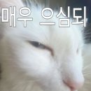 5월은 알바의 달