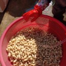 매산농장 이미지