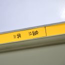 갈대가 있는 풍경, 벌교 중도방죽 이미지