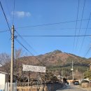 창녕동물병원 | 광주콜벤 골프투어 차량대절 서비스