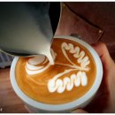 KCA커피바리스타 1급 자격취득 이미지