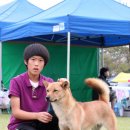 정미 이미지