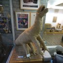 짚풀생활사박물관 이미지