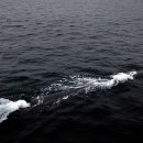 중앙수중개발 이미지